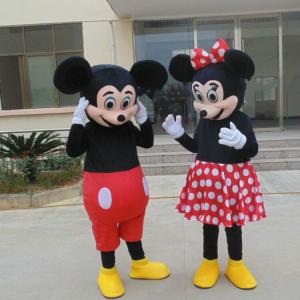 Mickey And Minnie Costume